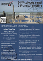 Vignette-poster 2013